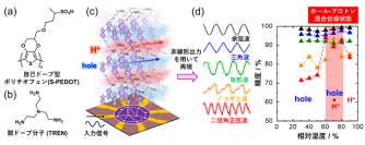 【立教大学】マテリアルリザバー性能が向上する電子 - イオン混合伝導～イオンを積極的に活用したニューロモルフィック分子ネットワークの実証～