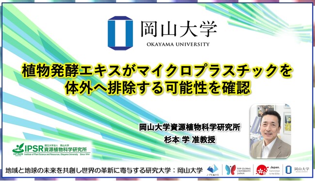 【岡山大学】植物発酵エキスがマイクロプラスチックを体外へ排除する可能性を確認