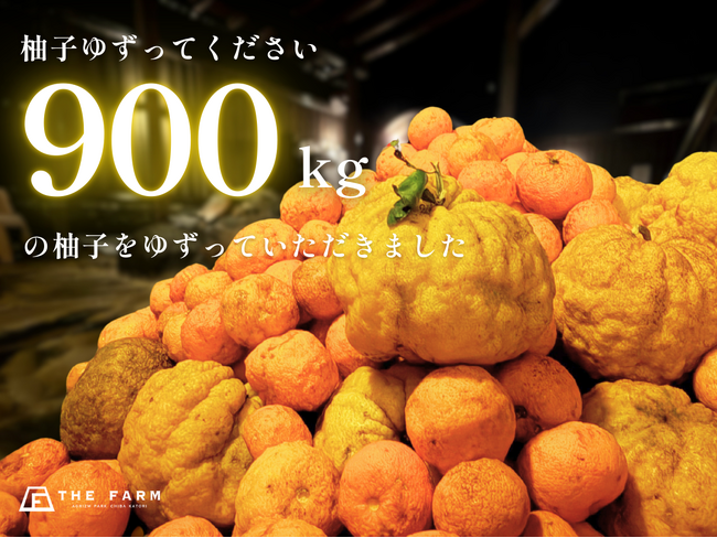 地域の柚子が“900kg”集まる。おふろcafeかりんの湯、冬至に合わせ「柚子ゆずってください」実施-集まった柚子で“ゆず風呂”開催中＆限定「ゆずパスタ」も提供