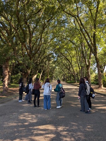 調査結果発表会の開催について