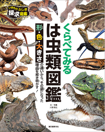 身近な「は虫類」の不思議な形や生態を魅力的な写真で徹底比較・解説！その形になったの秘密が、見ているだけでもわかる！