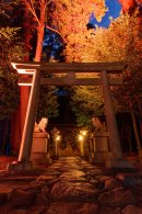 境内ライトアップ