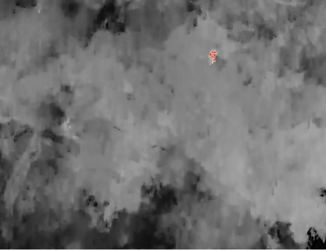 離島のイノシシ被害対策にドローン×赤外線技術を活用　香川県・男木島で定期自動飛行による生態調査を実施　将来的なAI自動判定システムへの発展を目指す