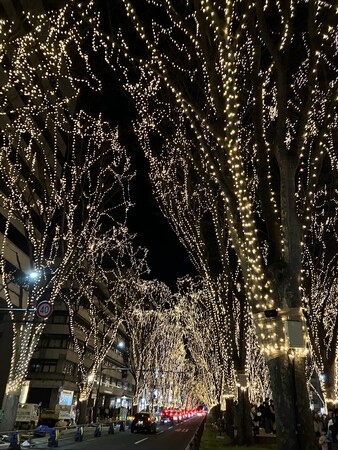 レンタルのニッケン「2025SENDAI光のページェント」に協賛