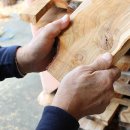 画像はイメージ(1)