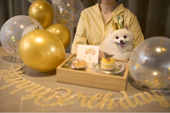 1日2組限定・お部屋のデコレーション＆ケーキを無料でご案内！愛犬と泊まれる宿「Dear Wan Spa Garden」初春キャンペーン