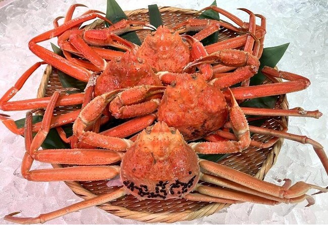 【道の駅 うみてらす名立】冬海の恵み 本ズワイ蟹と寒ブリの饗宴！12月27日より冬の二大王者を味わい尽くす季節限定イベント