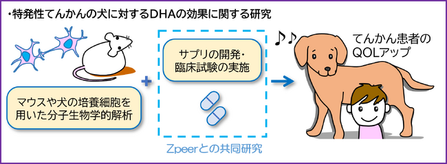 動物医療のイノベーションリーダーZpeer（ズピア）、東京大学と「犬の特発性てんかん」に関する共同研究契約を締結