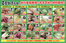 農産物の特売！