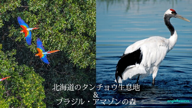 売上額の1%以上をNature Projectに寄付するプロジェクトを開始  