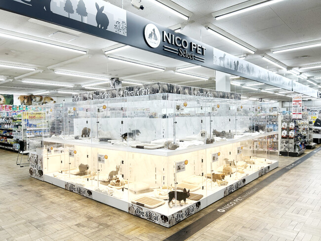P’s-first上尾店オープンのお知らせ
