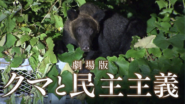 これからのクマ対策のヒントを北海道のある村の取り組みから考える　HBC北海道放送制作 ドキュメンタリー映画 『劇場版 クマと民主主義』各種プラットフォームで配信開始