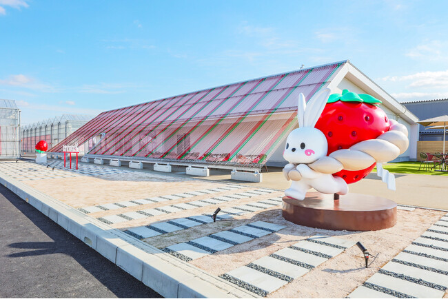 出雲大社近くに新観光スポット!いちご狩り施設「出雲ICHIGO縁」誕生!