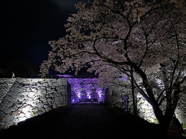 夜の丹波篠山をもっと楽しもう！丹波篠山ライトアップ応援プロジェクトクラウドファンディング