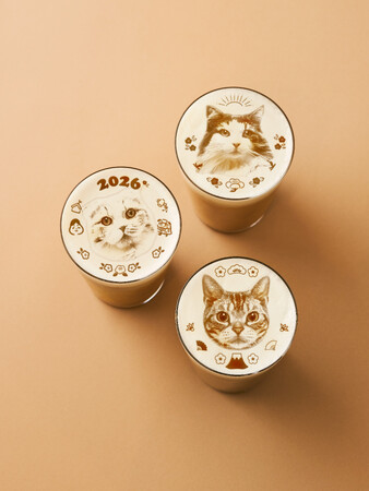 猫たちと迎える、ちょっと特別なお正月。MOFF猫カフェでニューイヤーイベント開催！