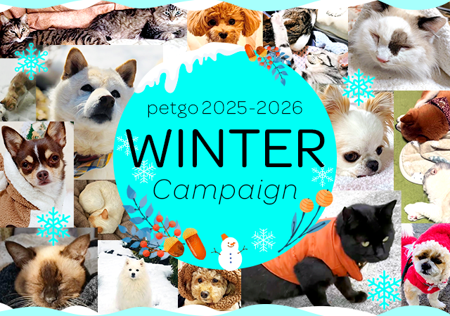 「ペットゴー（petgo.jp）」2025-2026 Winter Campaign開催
