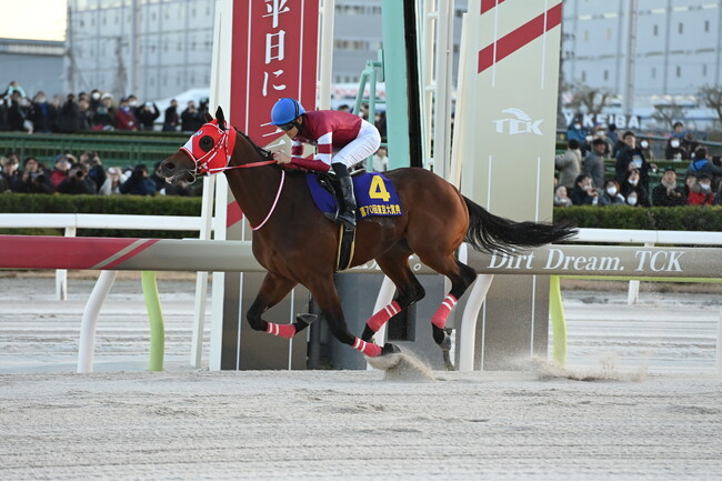 12月29日（月）ダート競馬の総決算「第71回東京大賞典（GI）」出走馬16頭と枠順が決定！！3歳vs古馬のハイレベルな戦い。その行方は!? 世代交代か？それとも地方の意地か？運命のトキがくる！