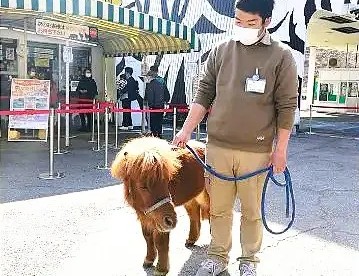 群馬サファリパーク「お正月イベント」開催のお知らせ