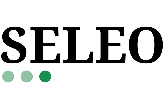 戦略系ブティックファームのSELEOが、ミッション・ビジョン・バリューを策定