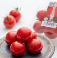 フレスタプライベートブランドBimiSmile「スイートルビートマト」2025年度初出荷について