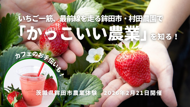 一流レストランも認めるいちごづくりの匠・村田農園(茨城県鉾田市)で「いちご収穫とカフェ運営」を体験