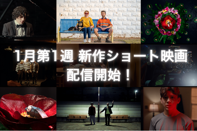 【SAMANSA】1月第1週の新作ショート映画ラインナップを発表！売れない漫才師たちの本心を描くヒューマンドラマから目の見えない女性を助けたことで始まるサスペンス劇まで4本を公開！