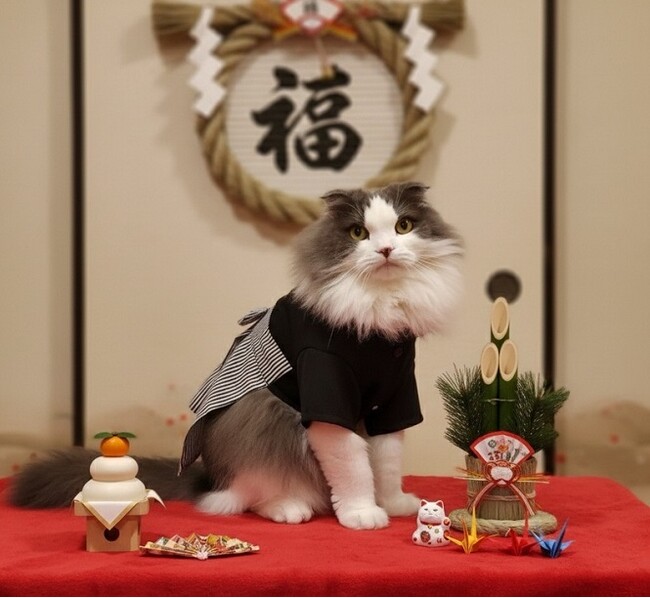 いなばペットフード　わんちゃん・猫ちゃんとの「節分」ショット2026年2月カレンダー写真を大募集！