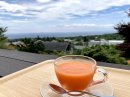 断食中の食事・人参スムージー 断食中の食事・人参スムージー