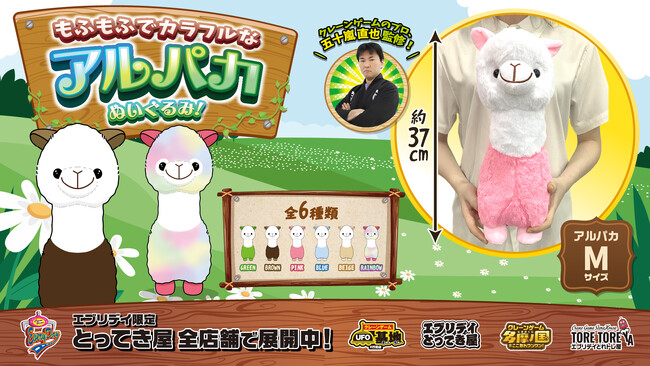 もふもふ×カラフルで癒しをお届け！思わず抱きしめたくなるサイズ感の「アルパカぬいぐるみ」がエブリデイ限定で登場！