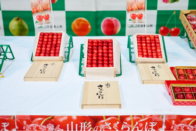2026年大田市場の初競りにて、青果の老舗仲卸「船昌」が山形県産さくらんぼ「佐藤錦」を過去最高値180万円で落札