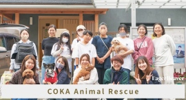大学生発アパレルブランドEager Beaver、フォスター制度で保護活動を行うCOKA Animal Rescueと初コラボ 大学生発アパレルブランドEager Beaver、フォスター制度で保護活動を行うCOKA Animal Rescueと初コラボ