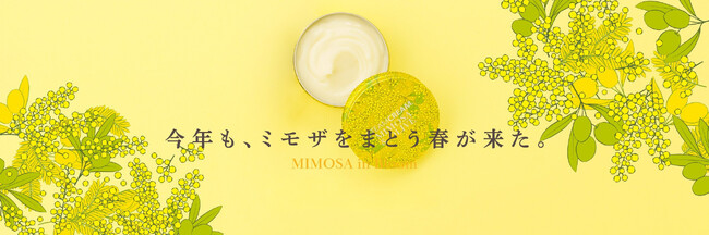 STEAMCREAMから季節限定品「スチームクリーム ミモザ&オリーブ」と「スチームクリーム ミスト ミモザ&CICA」が今年も登場