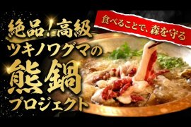 ツキノワグマの熊鍋プロジェクト ツキノワグマの熊鍋プロジェクト