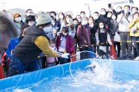 「第32回伊東温泉めちゃくちゃ市」　1/24(土)、1/25(日)に静岡で開催！