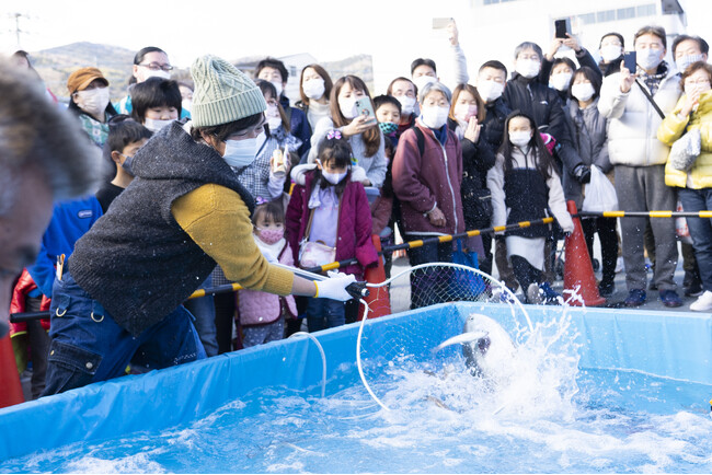 「第３２回伊東温泉めちゃくちゃ市」1/24.25に静岡県伊東市で開催！