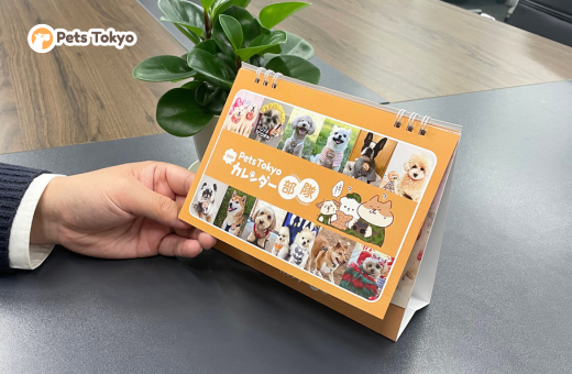 今年もPets Tokyoオリジナルカレンダー「わんわんカレンダー部隊 2026」を制作