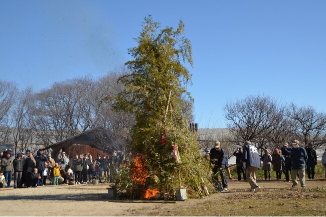 「どんど焼き」を開催します(国営ひたち海浜公園)
