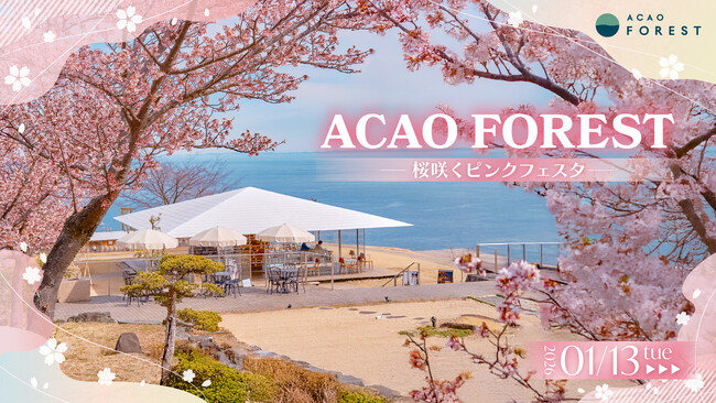 熱海で桜が続々と開花中！園内が桜色に染まる期間限定イベント「ACAO FOREST -桜咲くピンクフェスタ-」2026年1月13日（火）より開催！