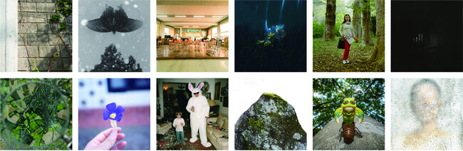 写真専攻 大学・専門学校選抜作品展　「New Generation Photography 2026」を開催