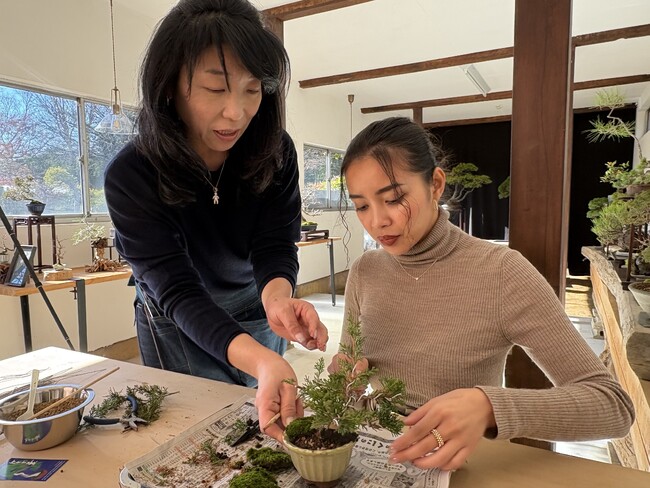 400年の歴史ある川口ブランド「盆栽」づくりを体験!