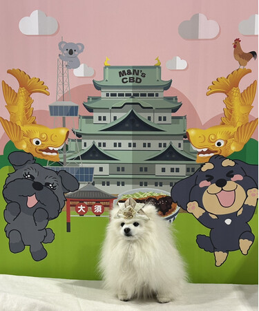 愛犬と楽しむイベント「わんワンダーフェス」にM&N’s CBDがブース出展