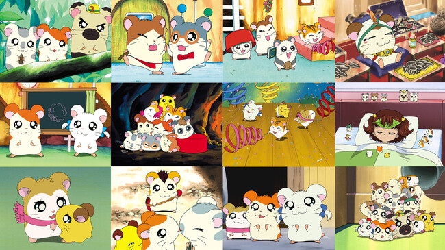 ????今日はねてるくんのお誕生日????　アニメ放送25周年記念イヤー『とっとこハム太郎』最新情報！