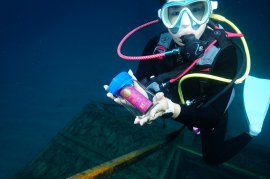 海底に納めるハーブオイル 海底に納めるハーブオイル