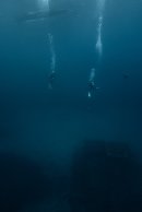 海底貯蔵に向かうダイバー 海底貯蔵に向かうダイバー