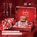 VD限定商品写真1