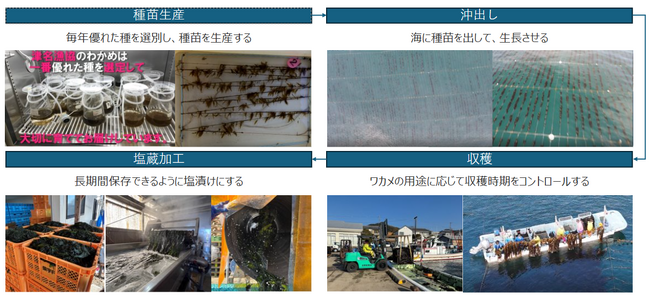淡路島で初のJブルークレジット(R)認証を取得、クレジットの販売も開始