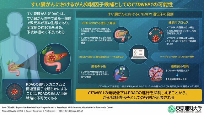 すい臓がんの進行を抑える可能性のある遺伝子を発見 ～『沈黙のがん』すい臓がんの早期診断や治療に光～