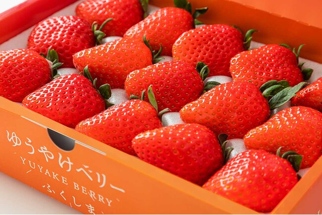 『フルーツ王国ふくしま「ゆうやけベリー・県産いちご」フェア』トップセールスがJAふくしま未来「みらい百彩館 んめ～べ（福島県伊達市）」にて開催！