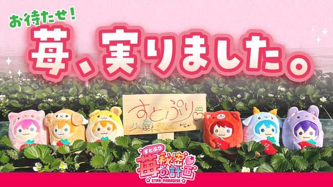 すとぷりの歌声を浴びて育ったオリジナルブランド苺『すとぷり』完成！猛暑を乗り越えた“特別な一粒”が、本日より数量限定で販売開始！