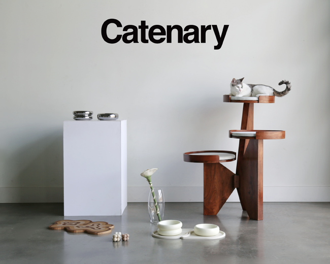【日本初上陸】Catenary、日本で正式デビュー。株式会社Katteが日本総代理店として正規展開を開始（2026年1月～）